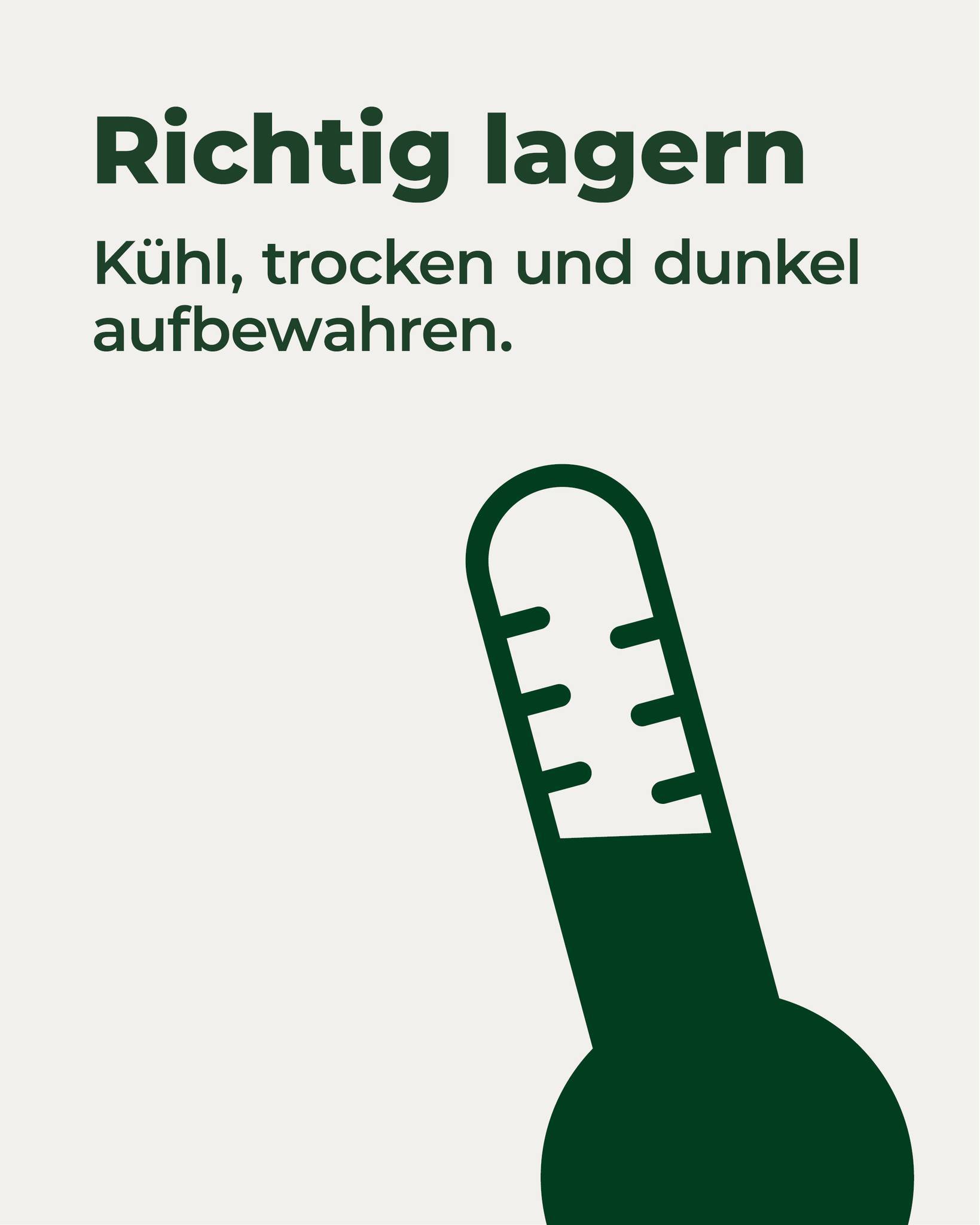 mit fahrradhelm auf roller Helm Fahrradhelm, Skaterhelm, Scooter-Kopfschutz, E-Scooter- und E-Bike-Helm Sonnenvisier für Herren und Damen Baumarkt Cat_Lvl_2: Rennräder Größe:L/XL 58-61cm Weber Umrüstset für Burley