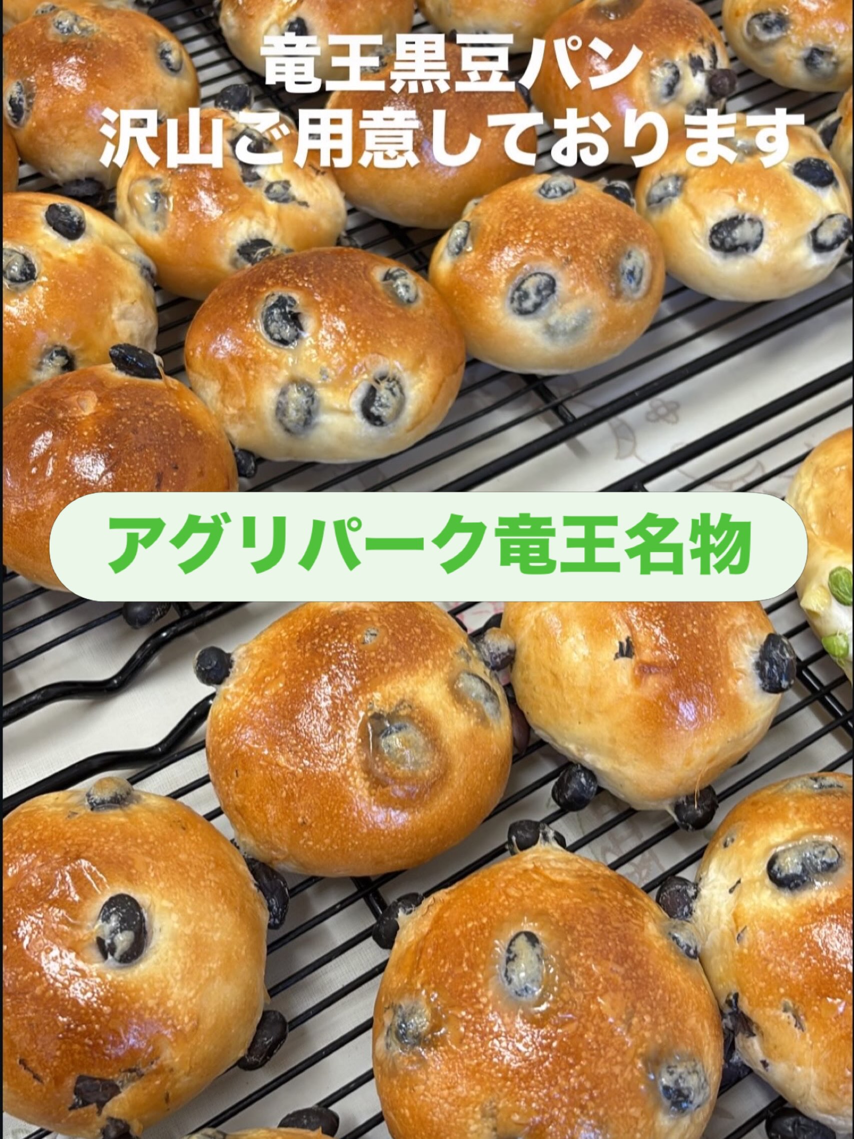 アグリ パーク 竜王