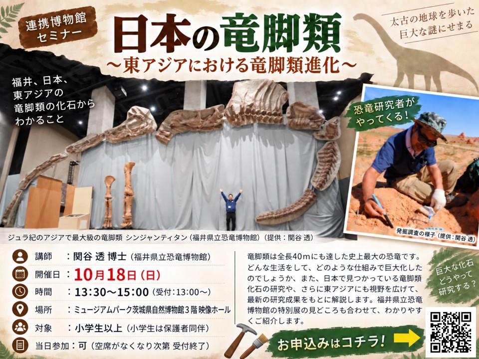 新しい植物化石2点を追加しました！】 第2展示室の古生代の展示エリア