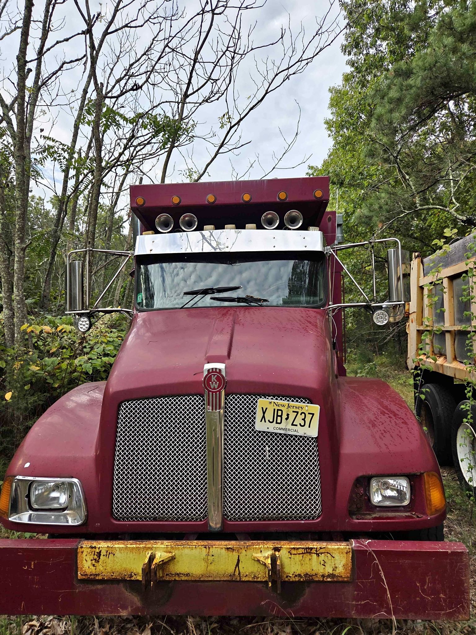 Kenworth T800 Premium Bug Screen By Robert James Enterprises - BS-75619