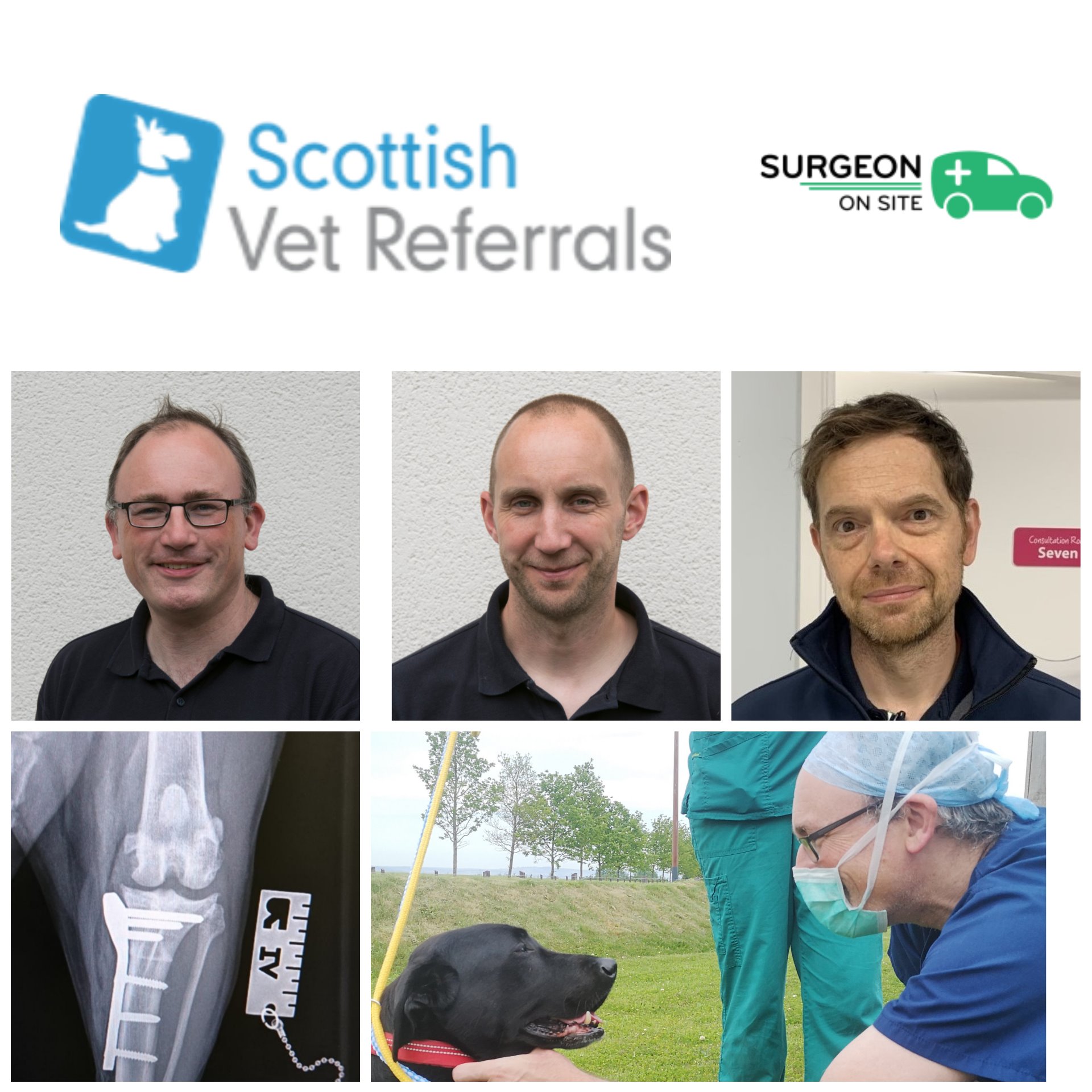 Scottish Vet Referrals - A week ago today saw us increase the frequency ...