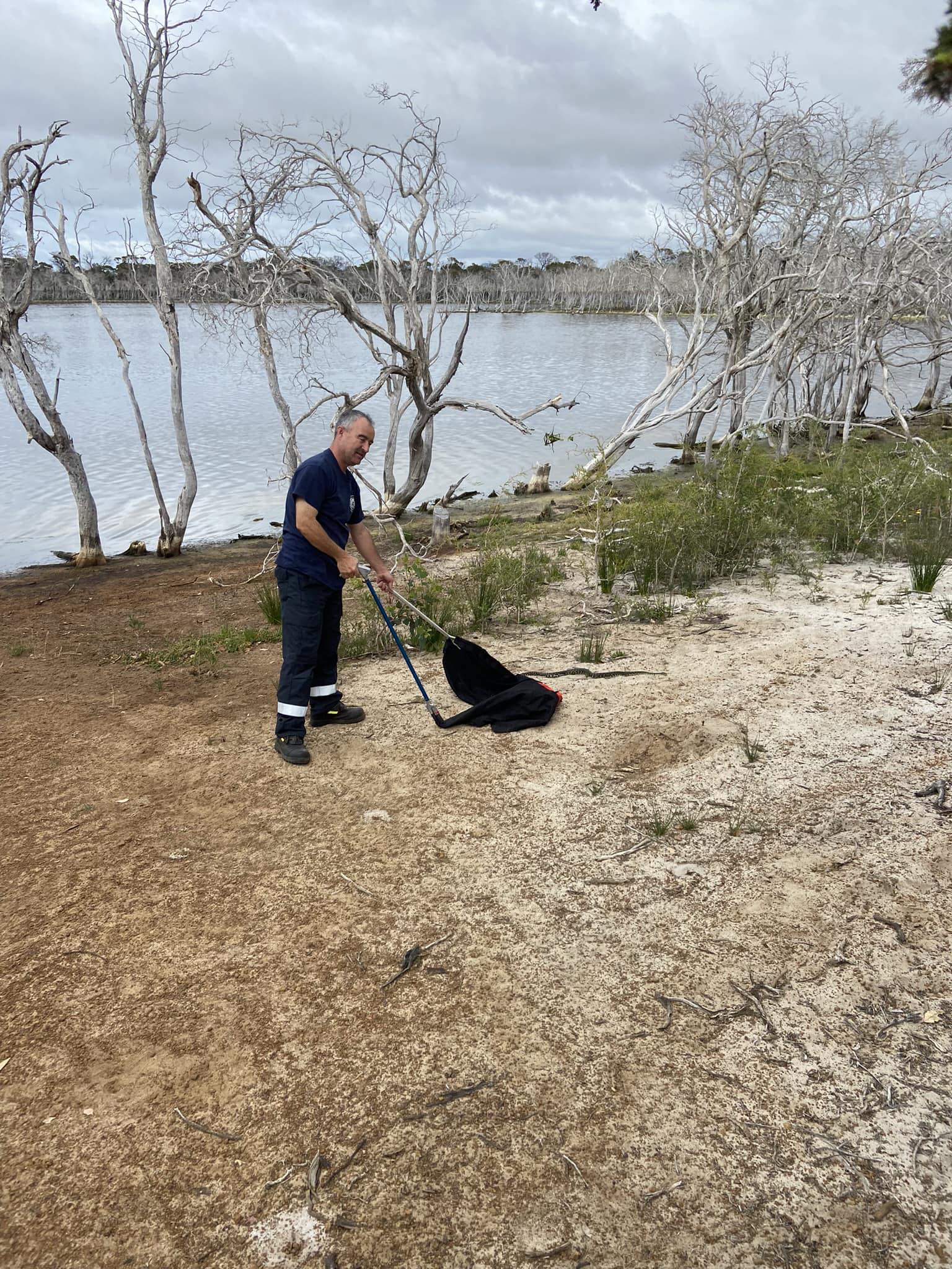 Hopetoun Snake Relocation Volunteers