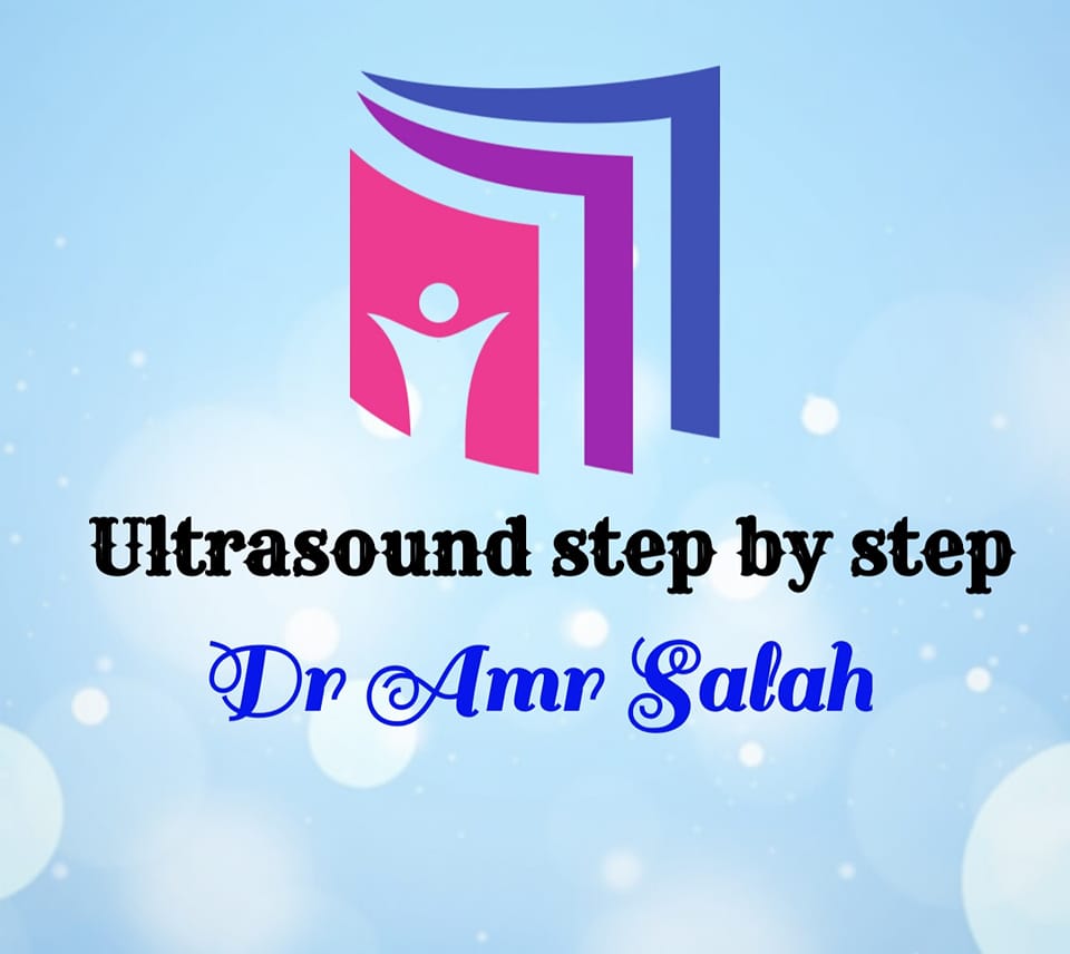 Ultrasound step by step د عمرو صلاح Amr salah | ***plantaris tendon ...