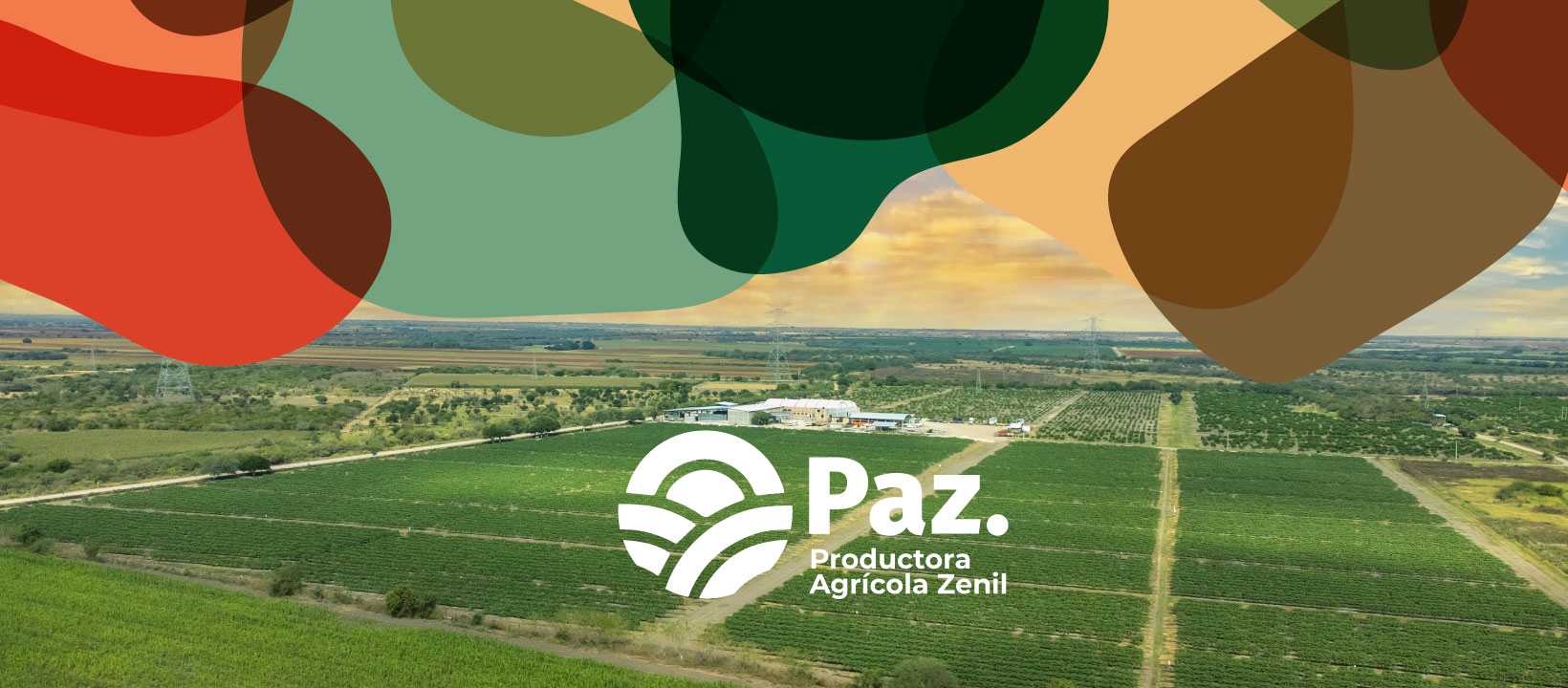 Productora Agrícola Zenil | Ebano