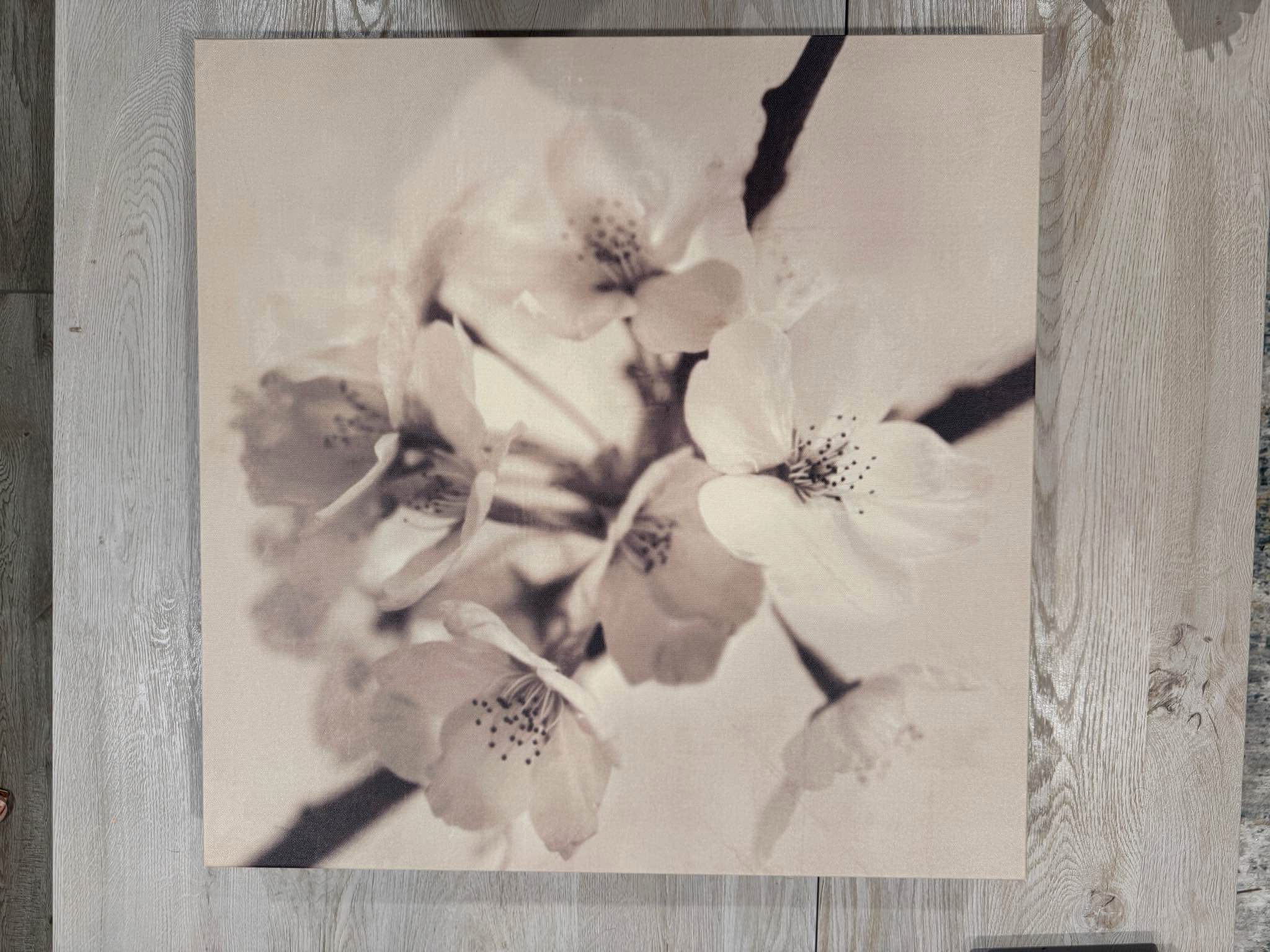 IKEA 3 Piece Cherry Blossom Floral Canvas Wall Art Painting Decor