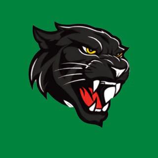 Try outs for Doncaster... - Doncaster Basketball Association | Facebook