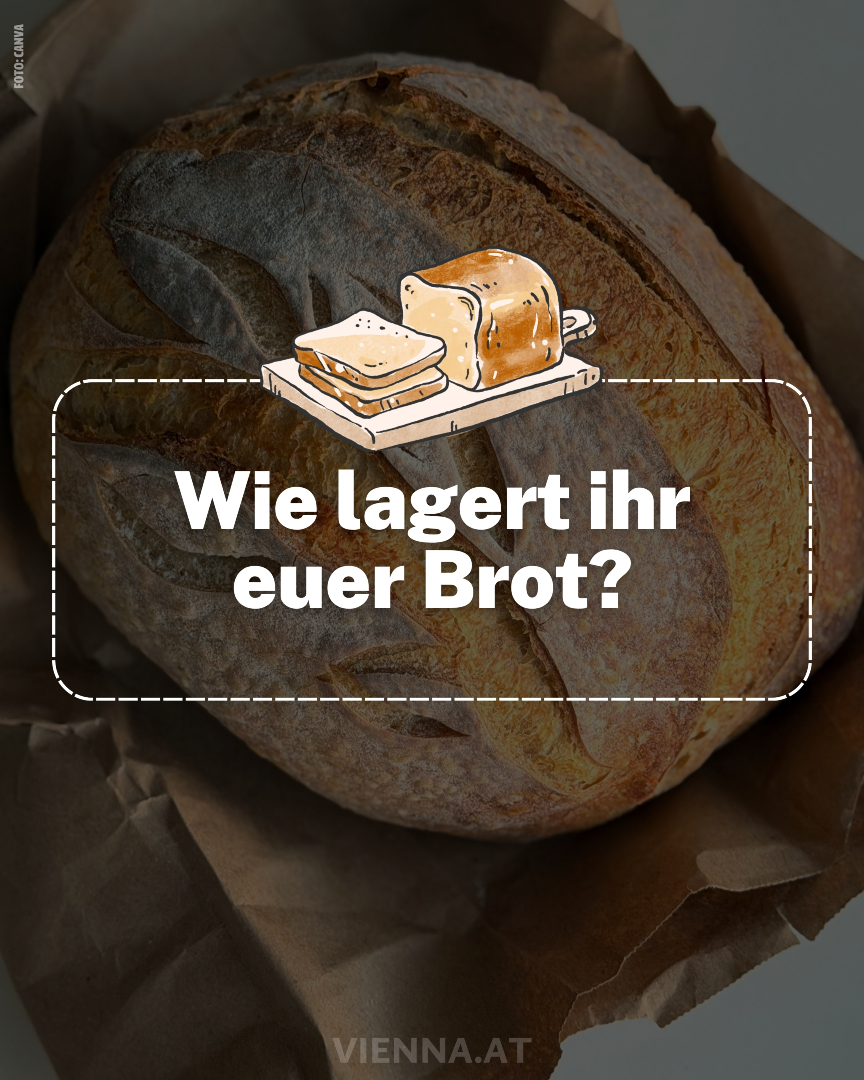 kühlschrank aufbewahrung wurst QILZO |Aufschnittboxen 6-Set | 22x17x5cm | BPA-frei |Wiederverwendbar | Stapelbar | Gefriergeeignet |Wurstdosen | Frischhaltedosen Lagermodelle/Restposten - Radlmakler Style:Single Battery With Rear Rack bike sales Bellflower