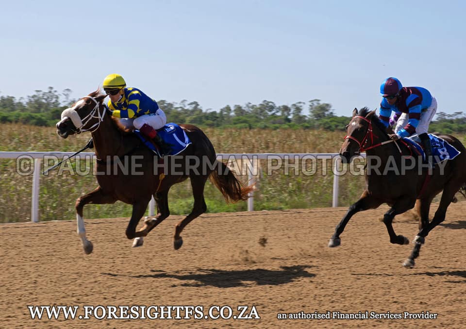 Gavin Smith Racing Stables... - Gavin Smith Racing Stables