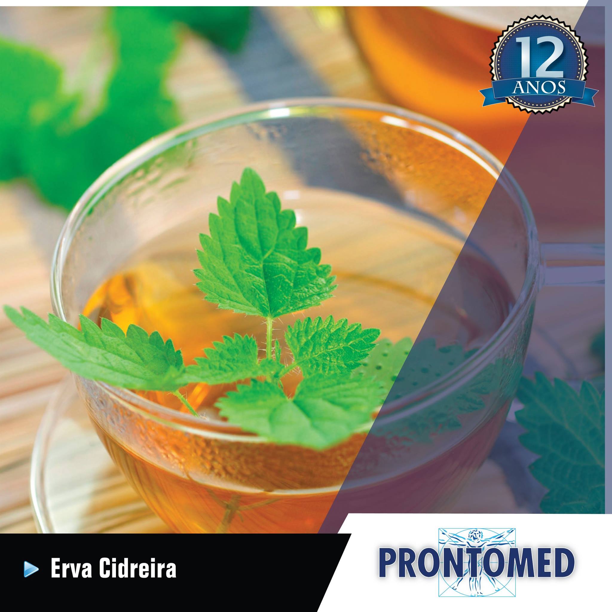 Prontomed - O chá de erva-cidreira possui diversas propriedades ...