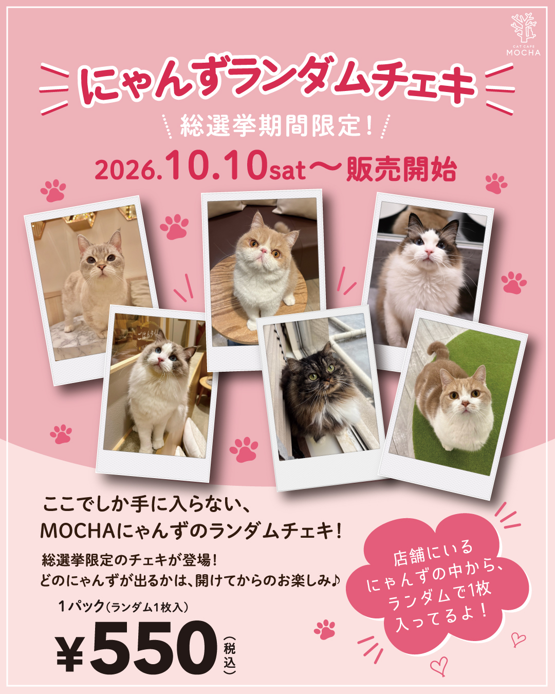 CAT CAFE MOCHA (@catcafemocha) • Facebook