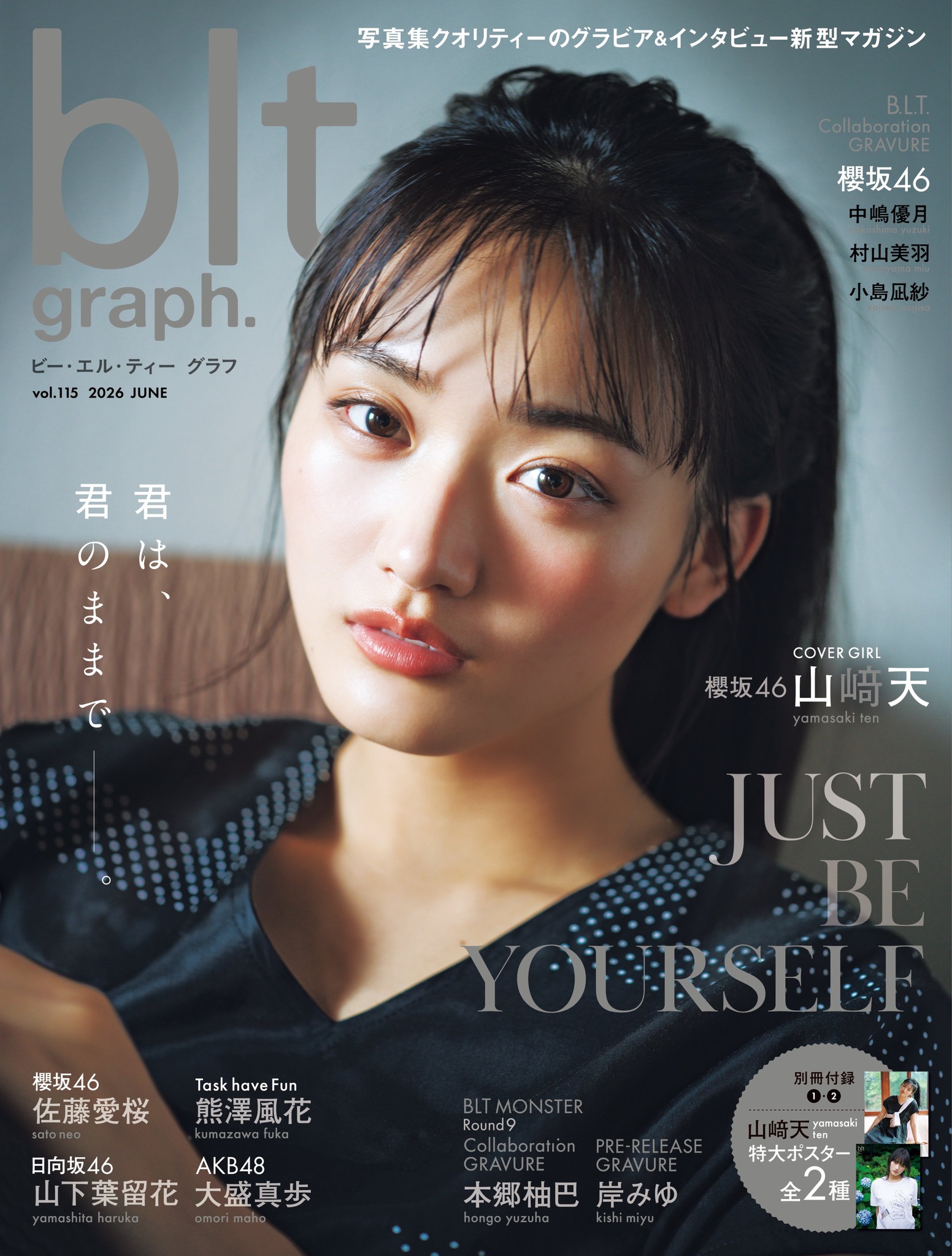 ◇◇◇ 𝐏𝐑𝐄-𝐑𝐄𝐋𝐄𝐀𝐒𝐄 𝐂𝐔𝐓 ◇◇◇ #bltgraph. vol.115 表紙