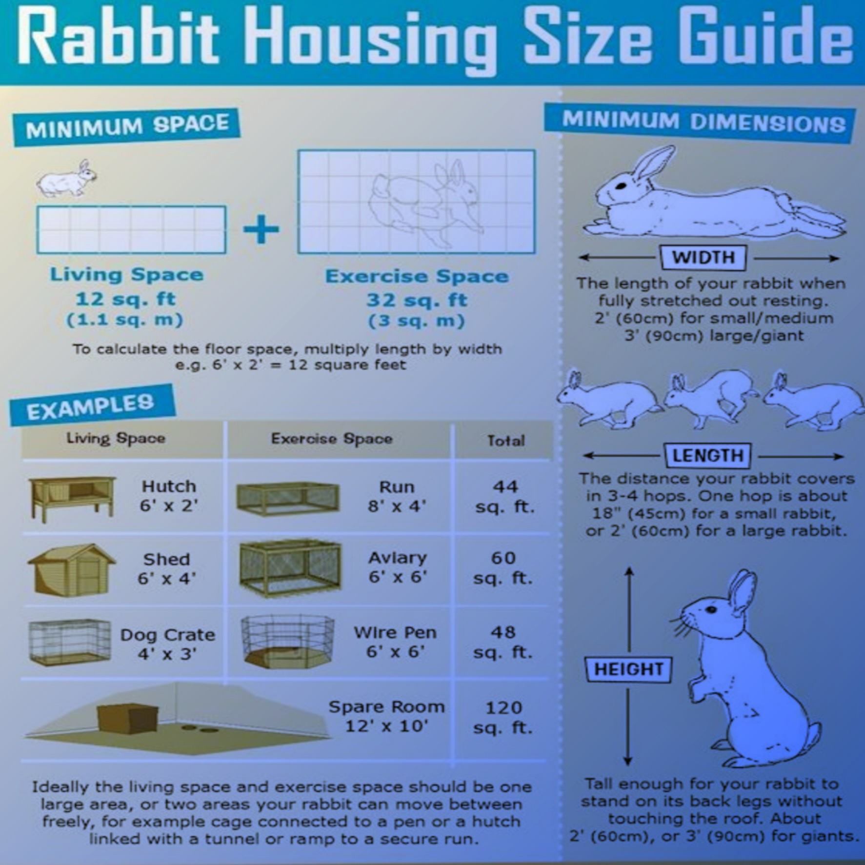DIGI VETS - @digi_vets Rabbits housing size guide... | Facebook