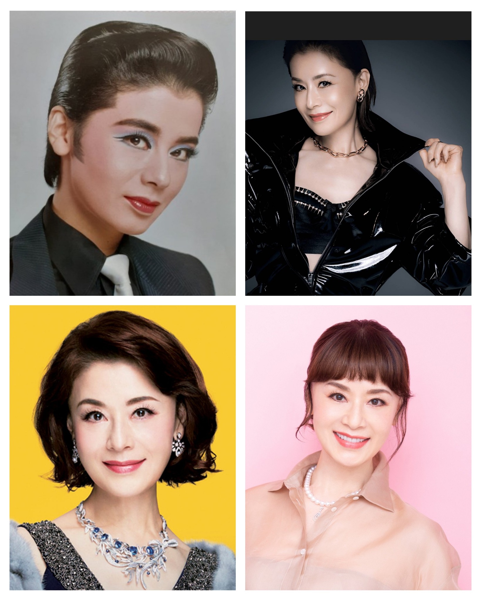 活動歴および当時の関連ビジュアル記録