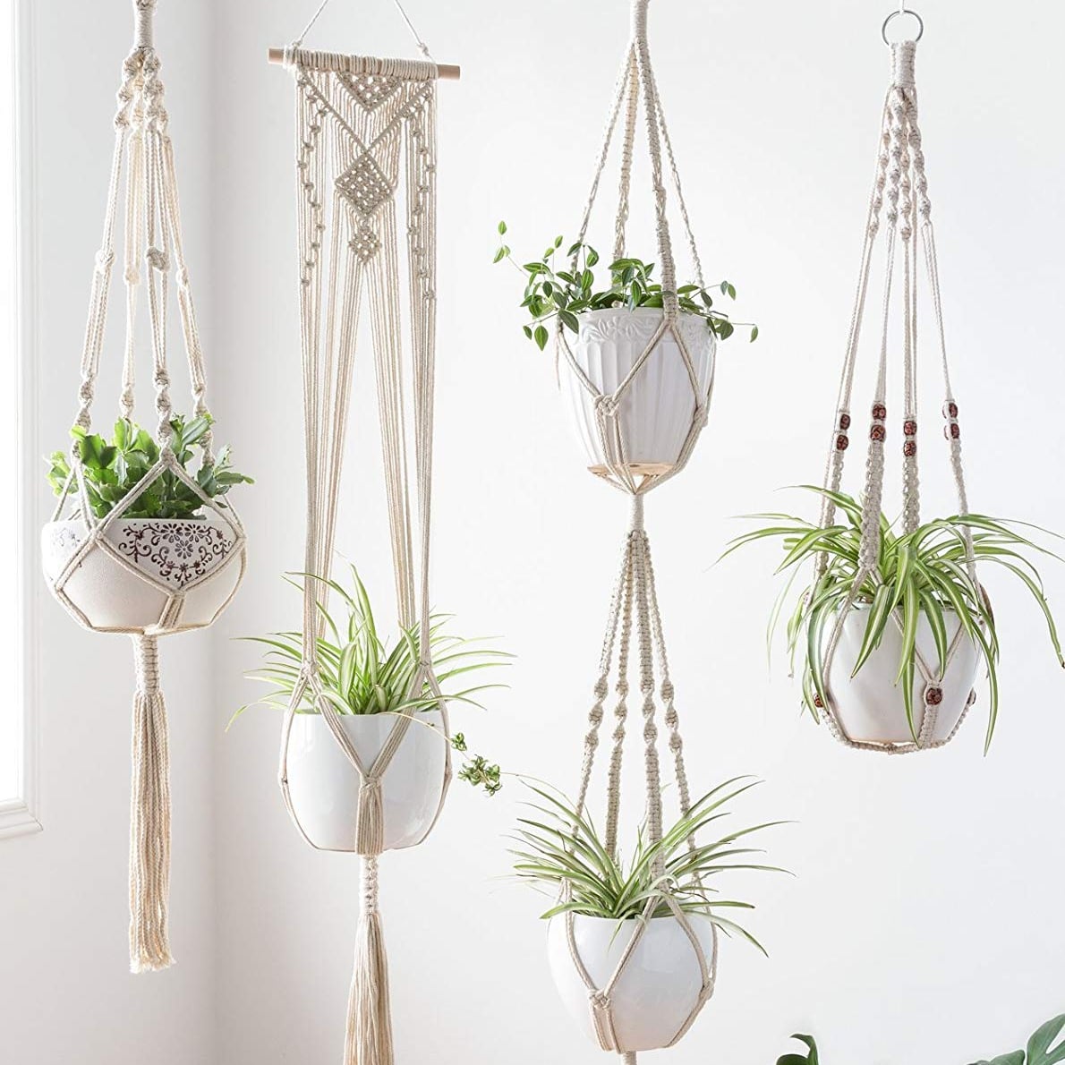 GS Collections - Home