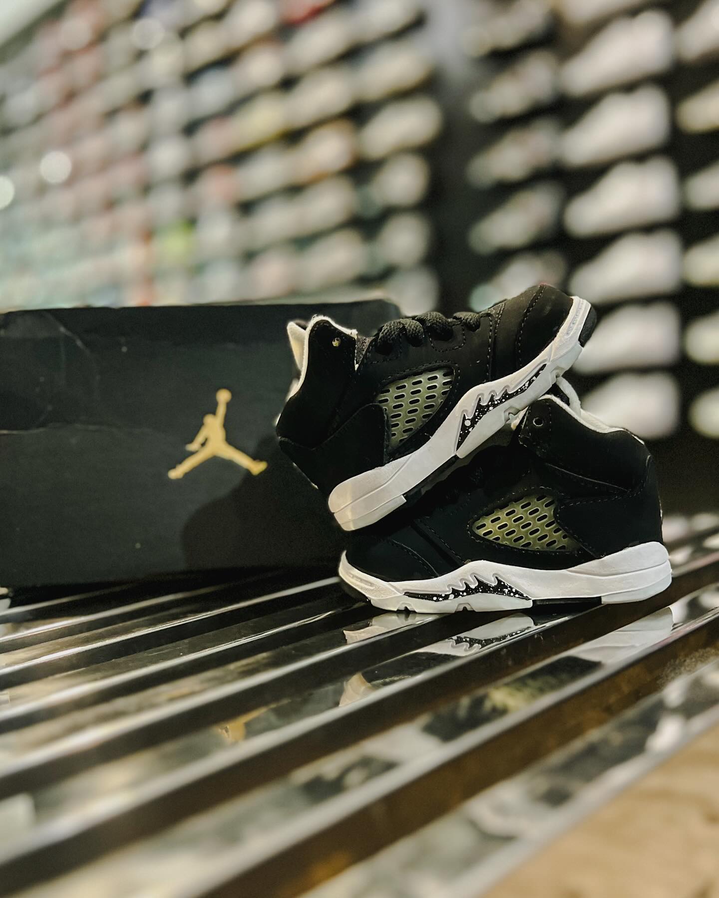 Nike Kobe 6 Protro \
