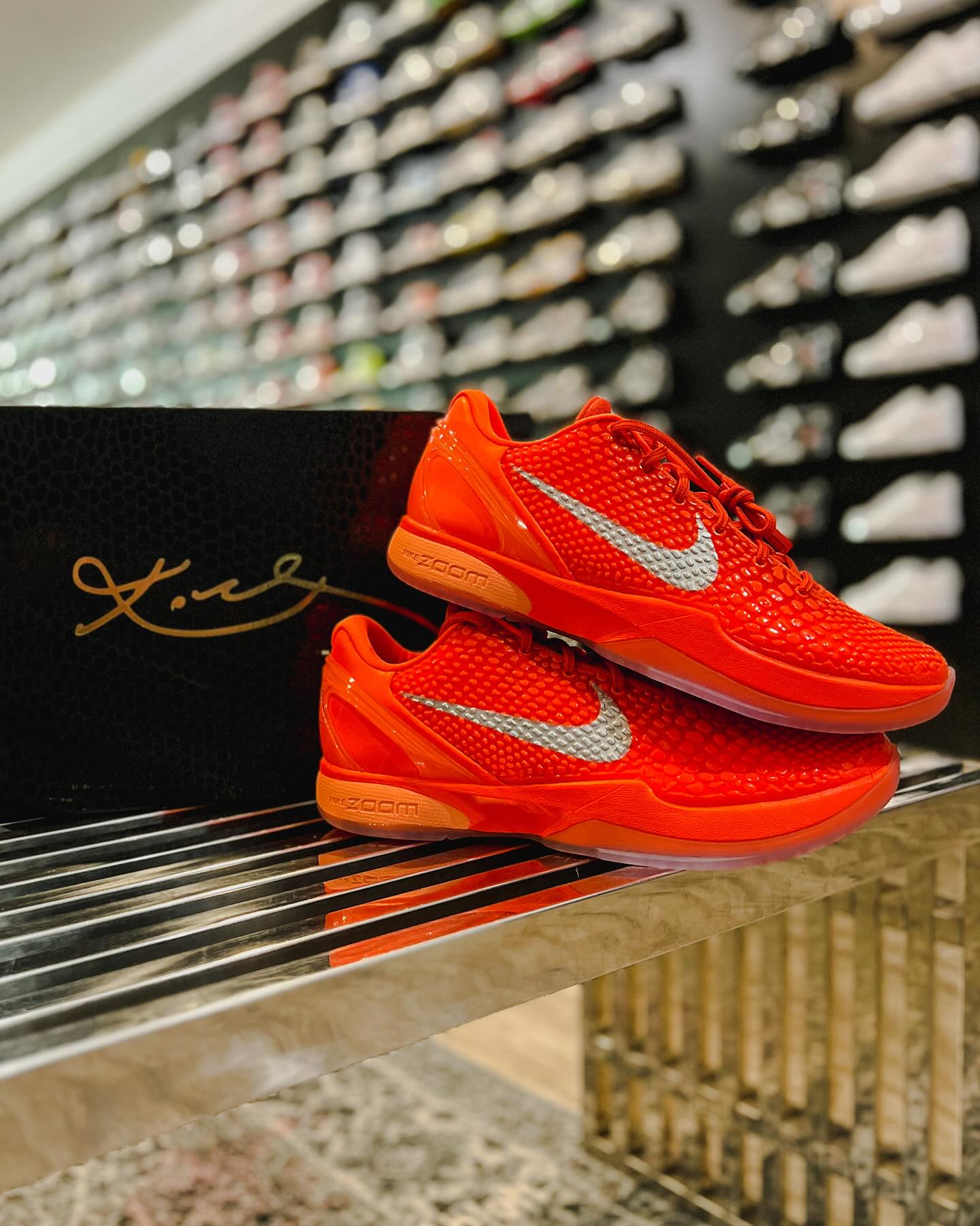 Nike Kobe 6 Protro \