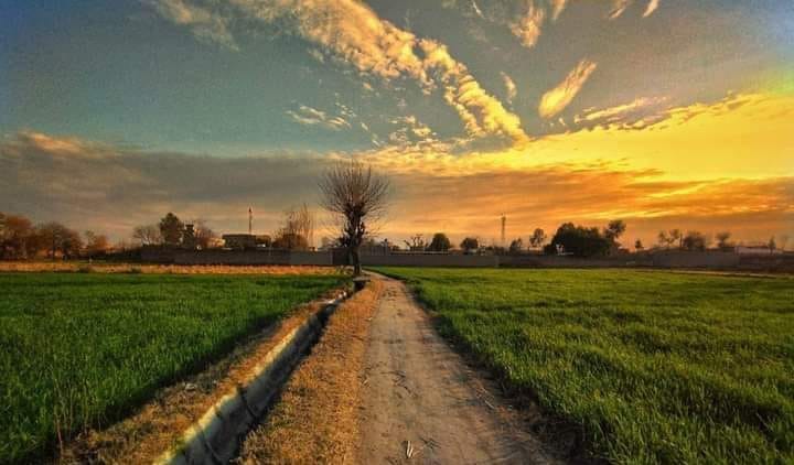 Village Shah jee kor | Peshawar