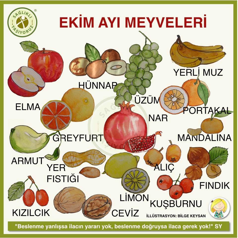 Sağlıklı - EKİM AYI MEYVELERİ Sağlıklı beslenenler sebze ve meyveleri ...