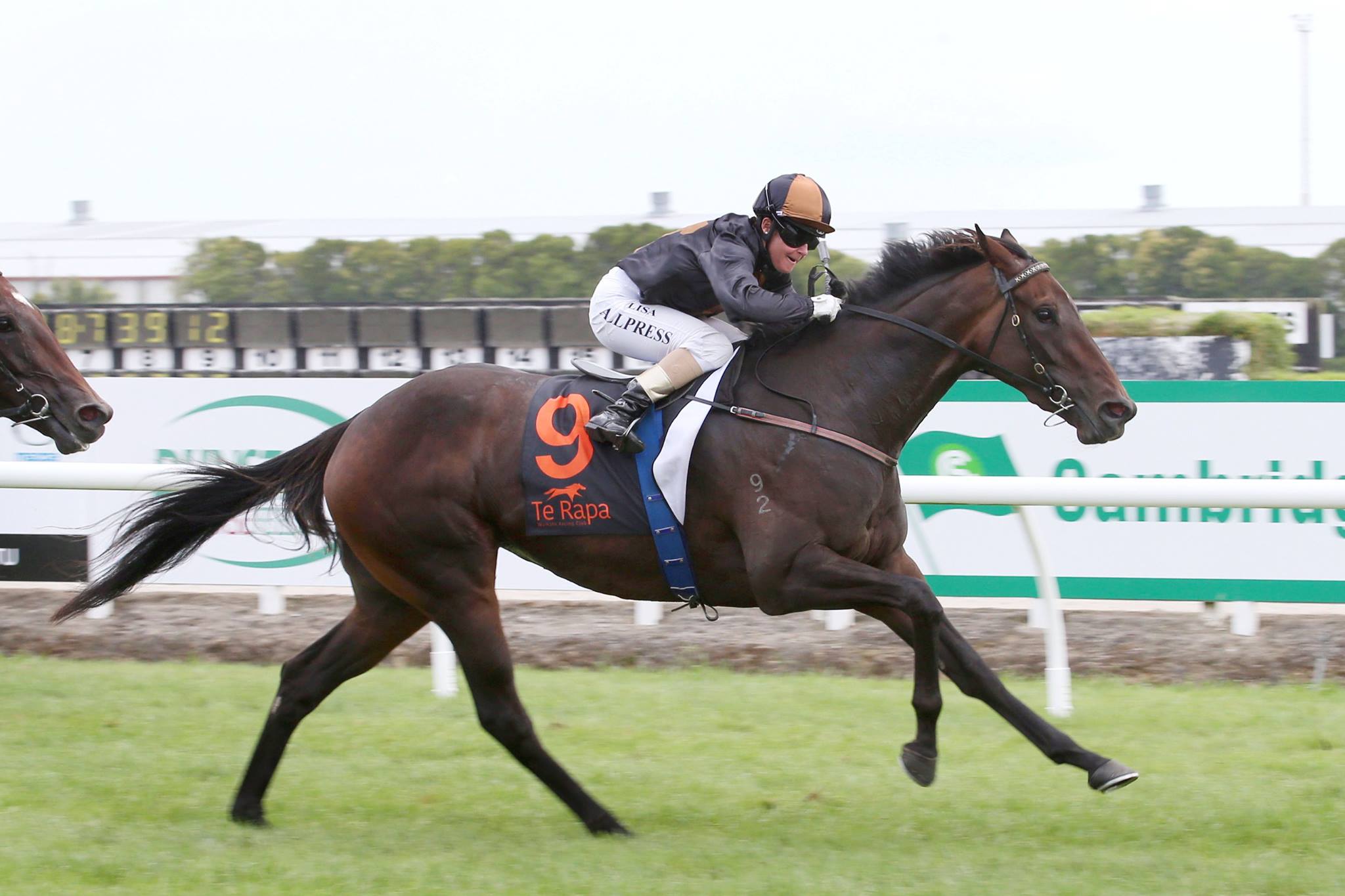 NZ Racing News - READ: Logan Racing isn't over-analysing...