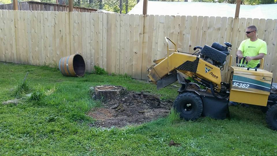 Woodchucks Tree Service & Stump Grinding | Eugene OR
