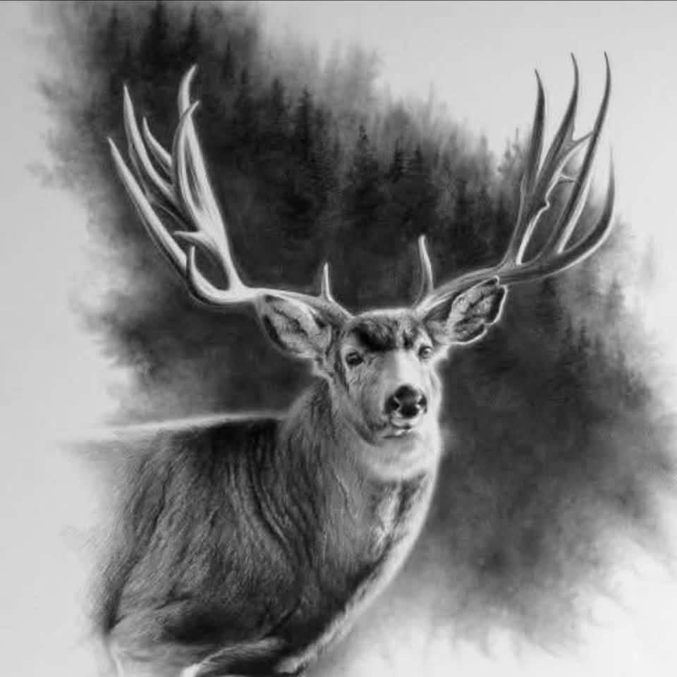 Wildlife and Nature Art | New work in progress | Facebook