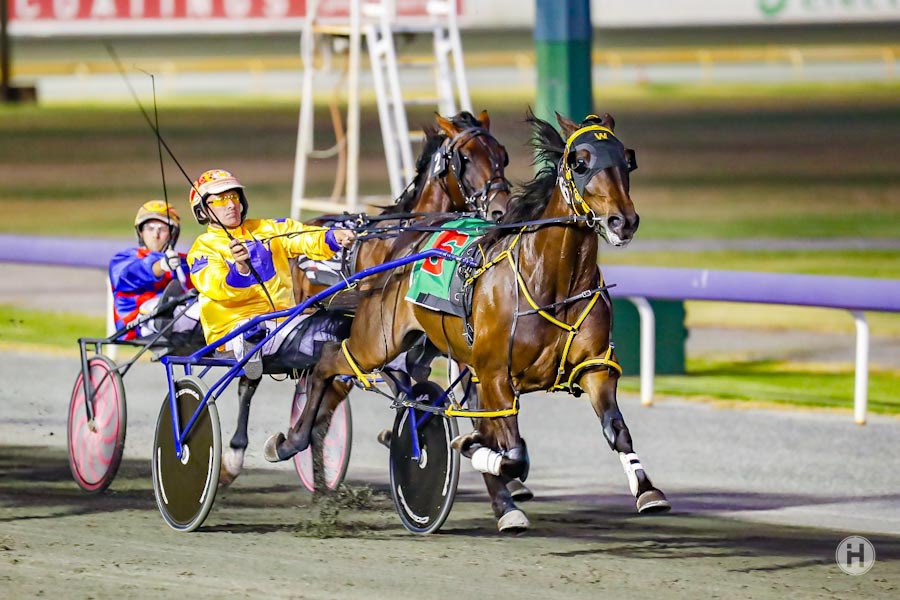 Racing WA Harness - GP PREVIEW | 17 June Here's Ken Casellas' Preview ...