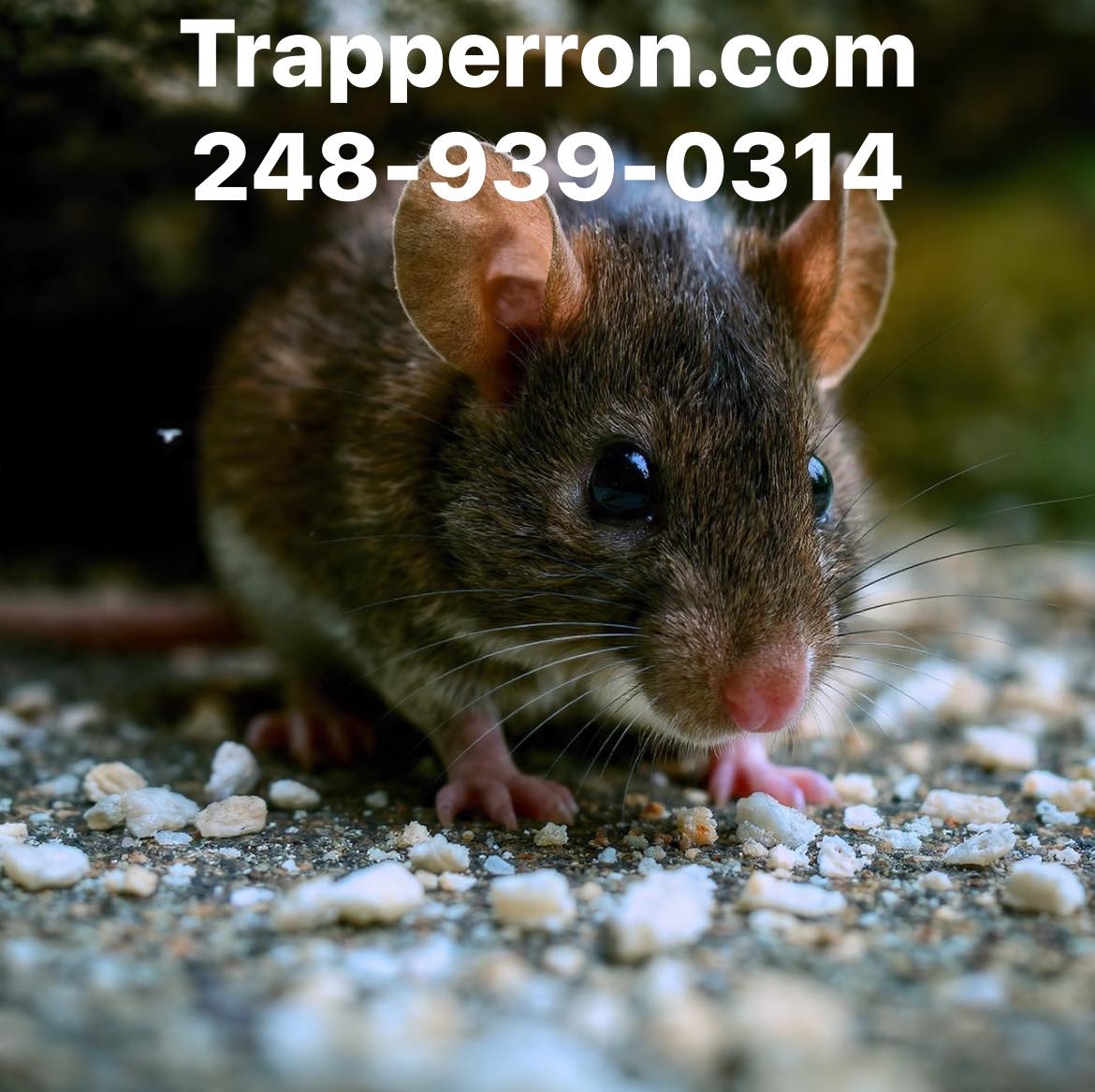 Trapper Ron - Trapper Ron added a new photo.