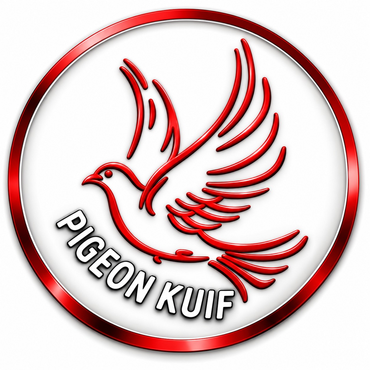 Pigeon Kuif - Ad Fortuin, the Dutch marathon pigeon... | Facebook
