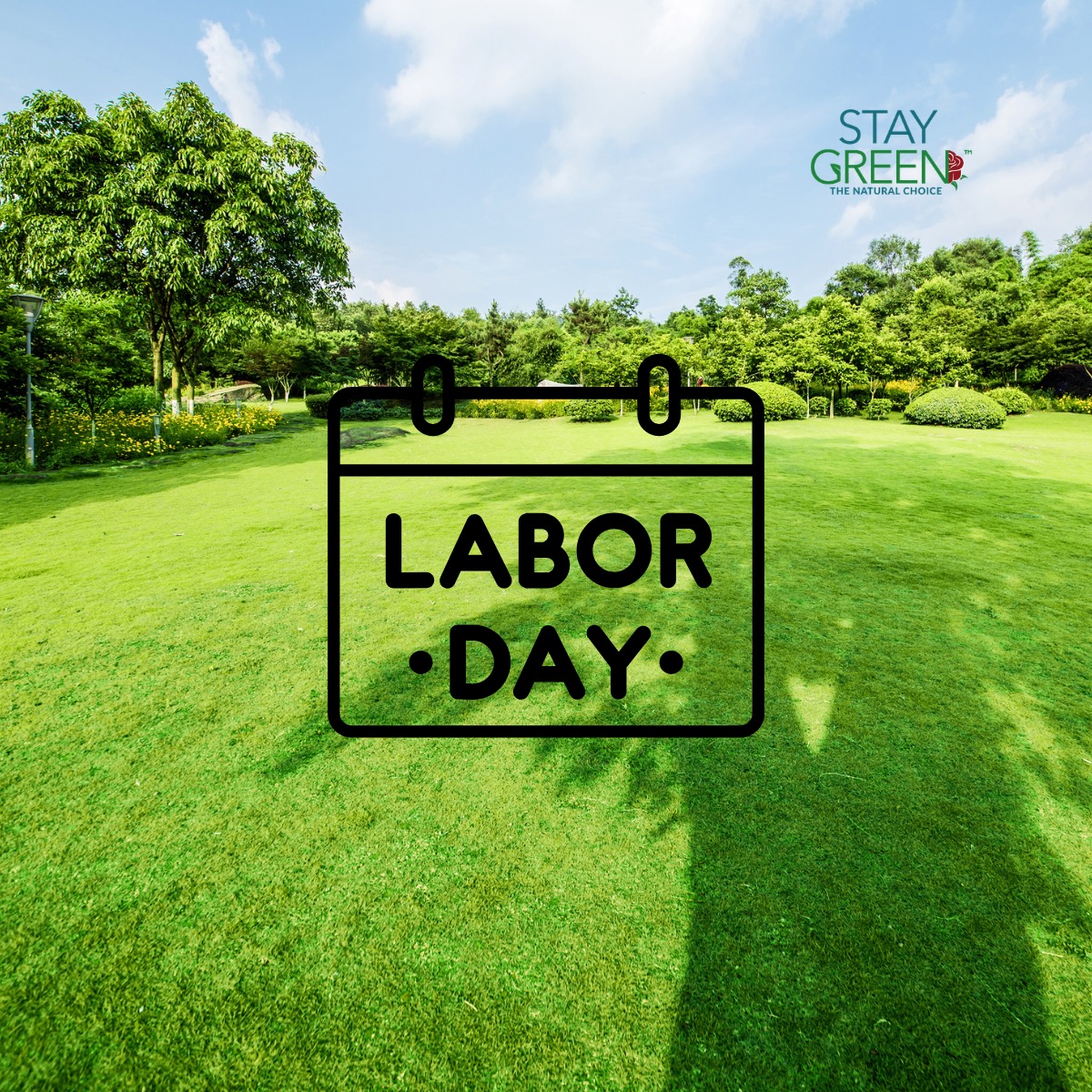 Pacific Green Landscape Maintenance