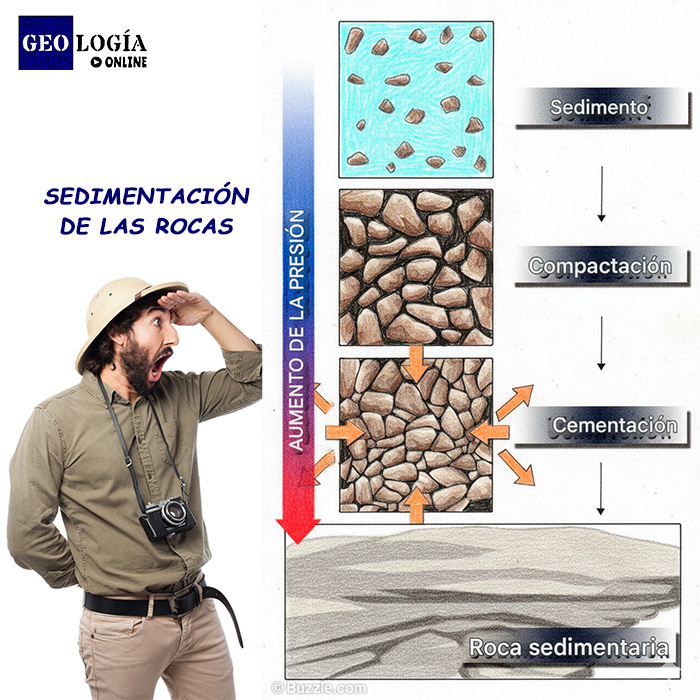 Geología - 🌊🪨 La sedimentación: Clave para entender la historia de la ...