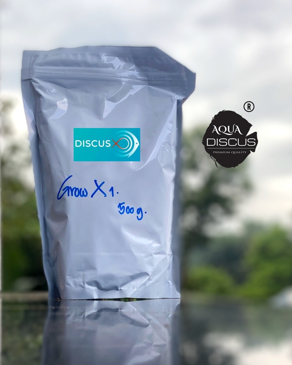 Launching DiscusX feeds for the first... - Aqua Discus India