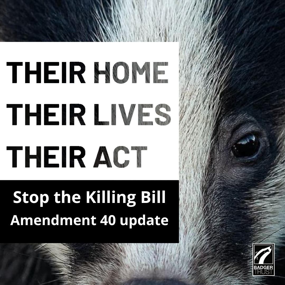 Badger Trust - 🚨 UPDATE: Amendment 40 Rejected Badger... | Facebook