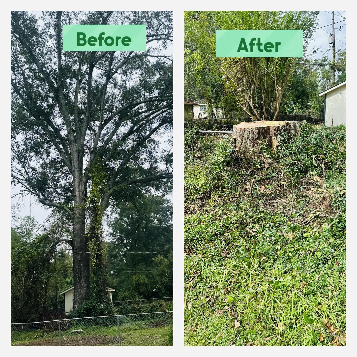 Garden Of Eden Tree Service