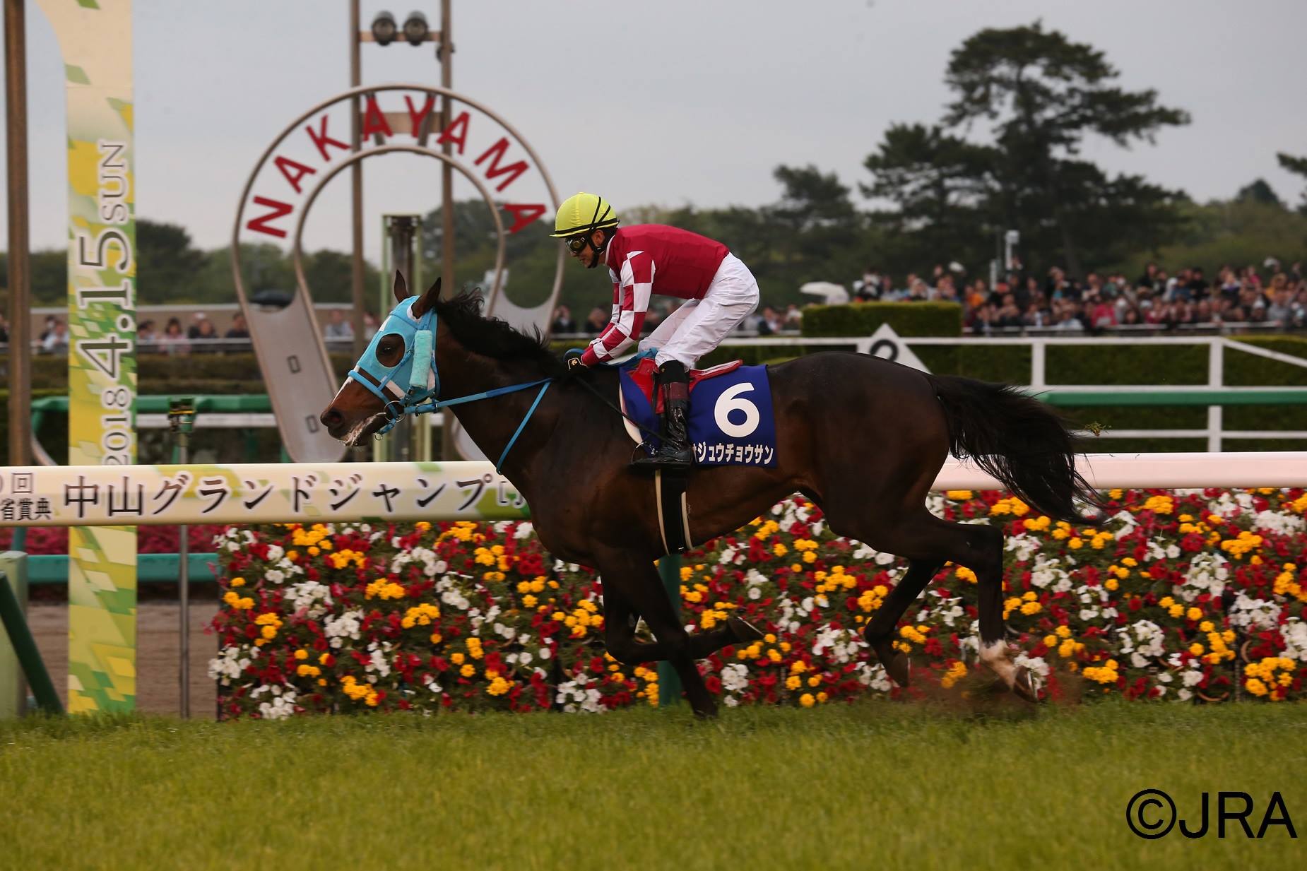 Jra 日本中央競馬会 中山グランドジャンプ J Gi はオジュウチョウサンがレコード勝利 ４コーナー手前で先頭に立つと 直線は一寸の不安も感じさせない圧勝劇 これが絶対王者 という見事な走りで カラジに並ぶ中山グランドジャンプ３連覇達成となりました