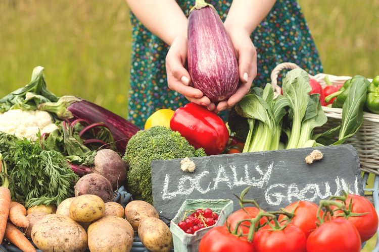 Monticello Farmers Market Home