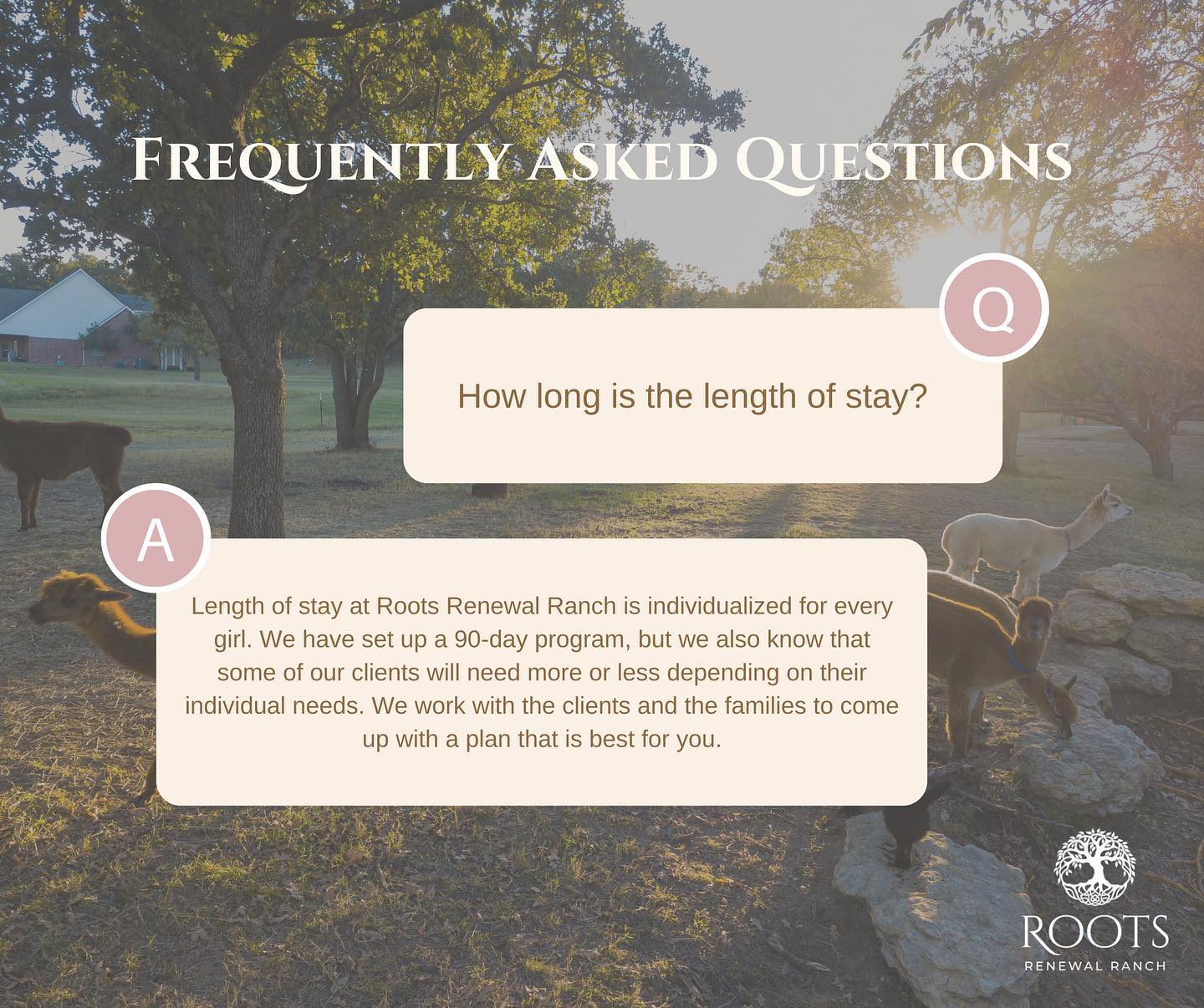 ⭐️ Do you want to know more about... - Roots Renewal Ranch