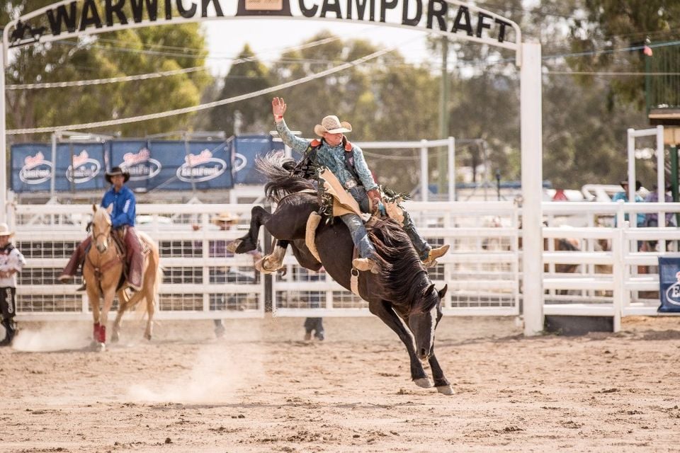 Warwick Rodeo and Gold Cup Campdraft | Facebook