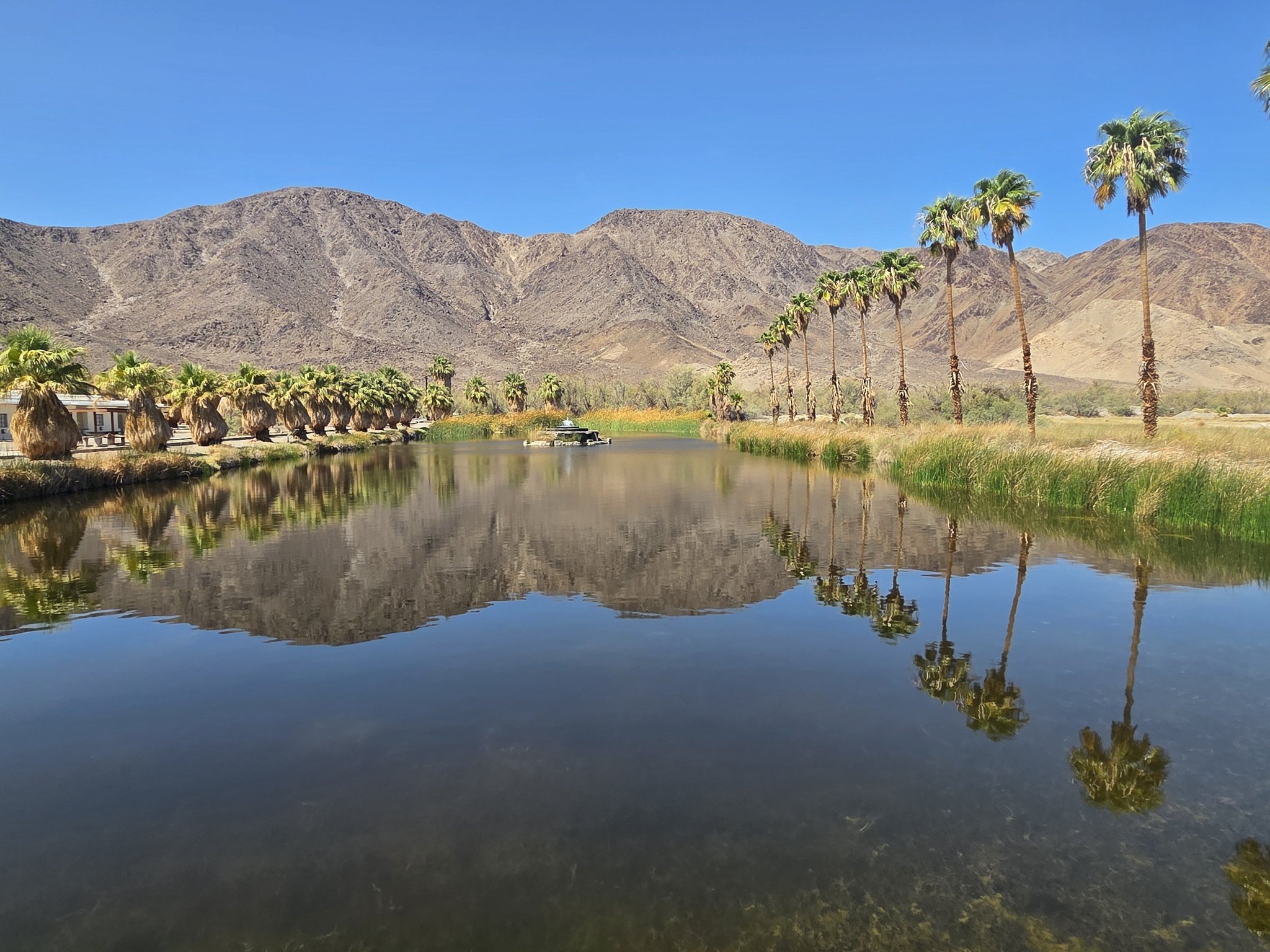Exploring Zzyzx Road in Mojave National Preserve
