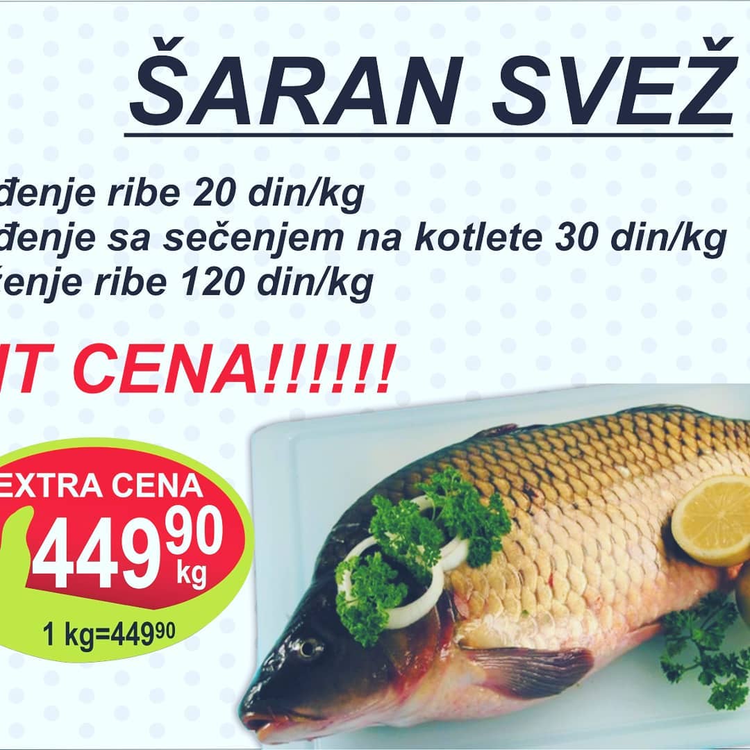 Fortuna Centar - 🐋🐟🐠Super ponuda sveze ribe🐬🐟🦈Akcijske... | Facebook
