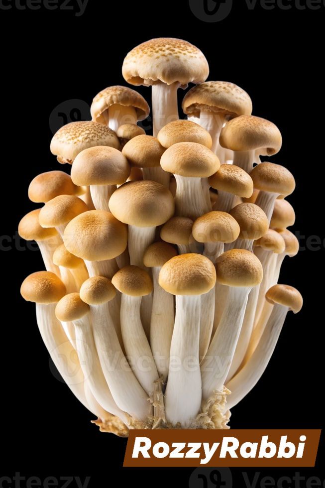 Researchers have found a number of excellent reasons for adding mushrooms to your diet, such as lowering blood pressure, boosting immune system, and losing weight. Learn more:https://wb.md/3OkXA0G