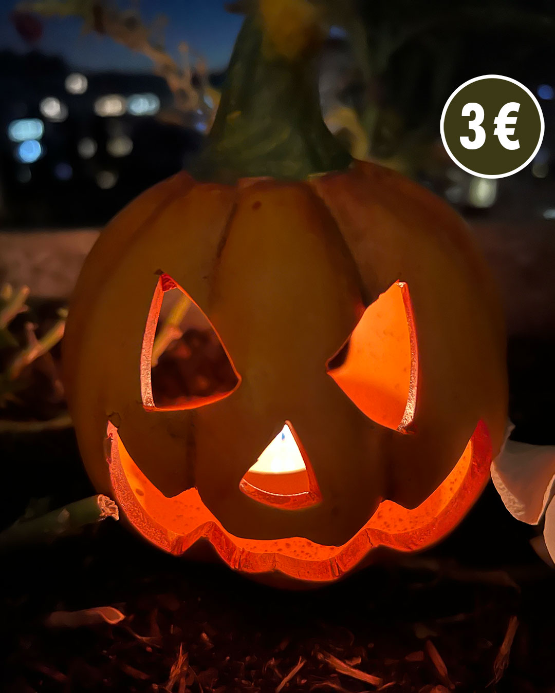 TEDi - Freut Ihr Euch auch auf Halloween? 🎃 Unser Kürbisgesicht tut es schon sehr! Denn es trägt ein Leuchten in den Augen, das auch Eure erstrahlen lässt