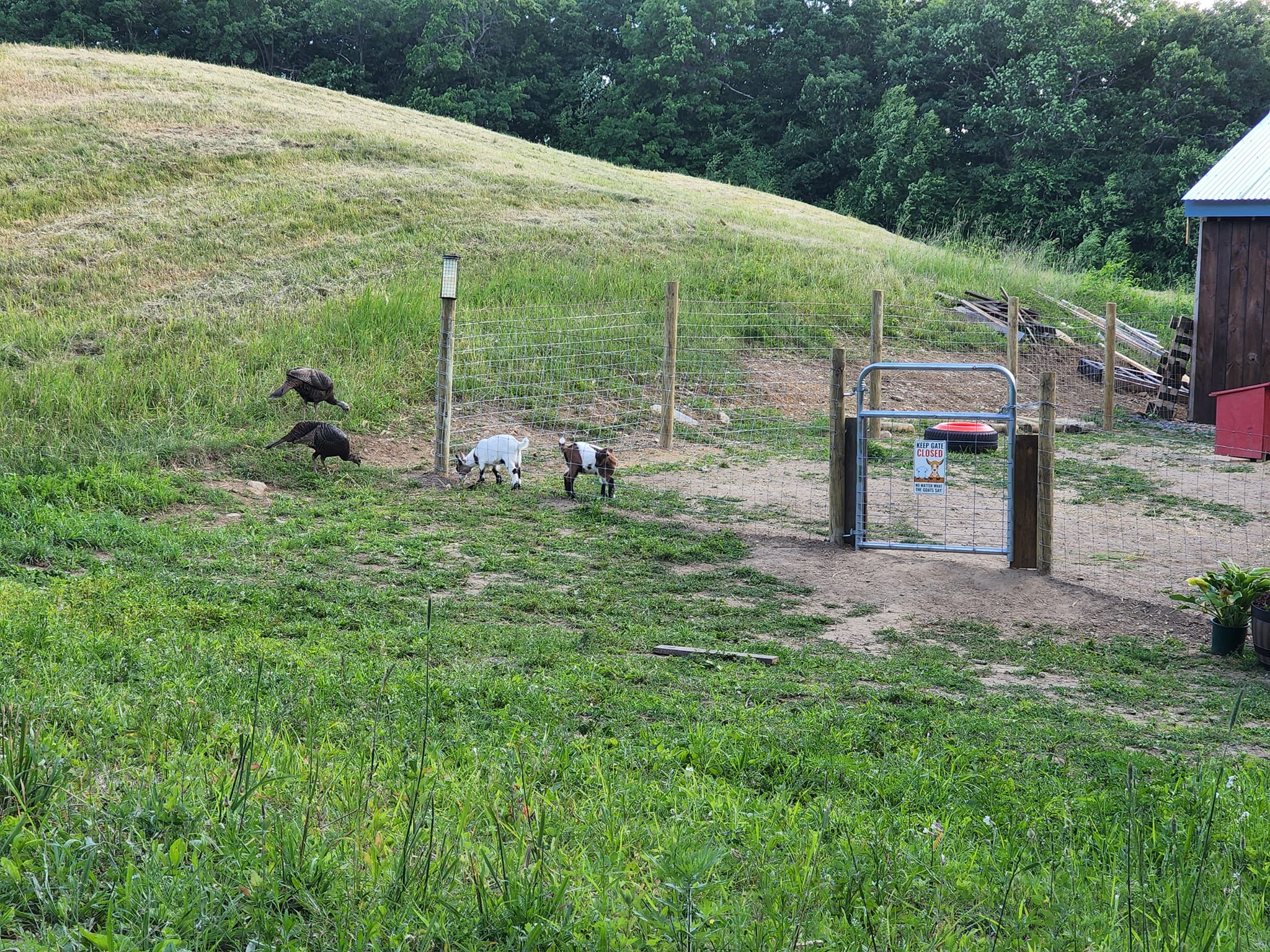 Senter Farm