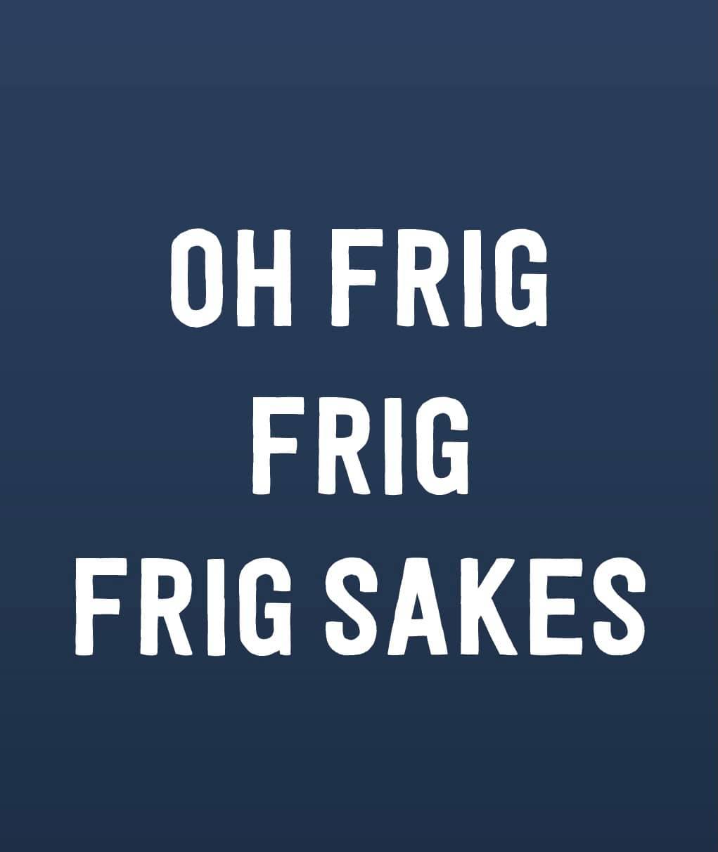 Noreaster - Oh frig, frig, or frig sakes?!? Which one should we print ...