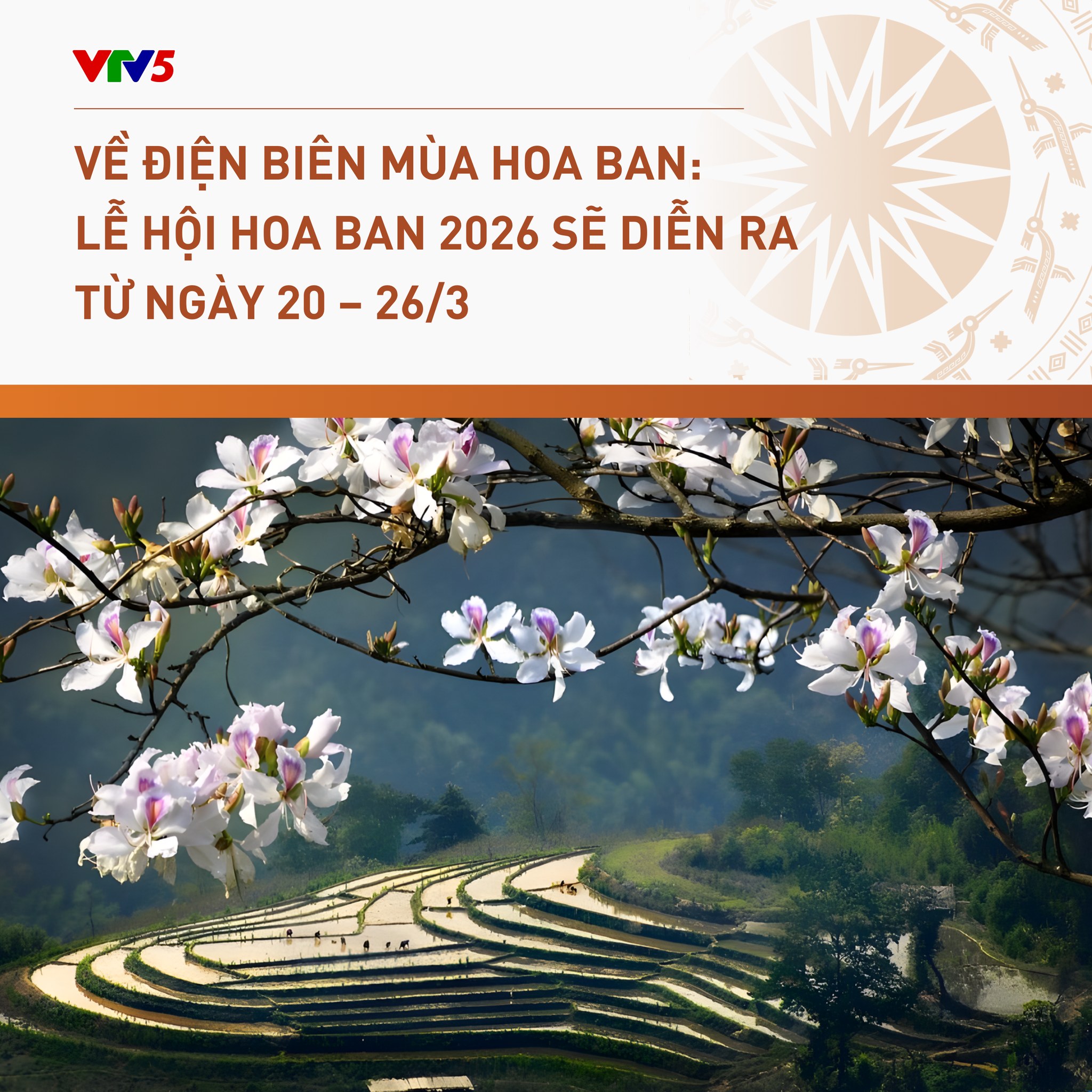 VTV5 - 🌸 Lễ hội Hoa Ban năm 2026 sẽ diễn ra từ 20 –... | Facebook
