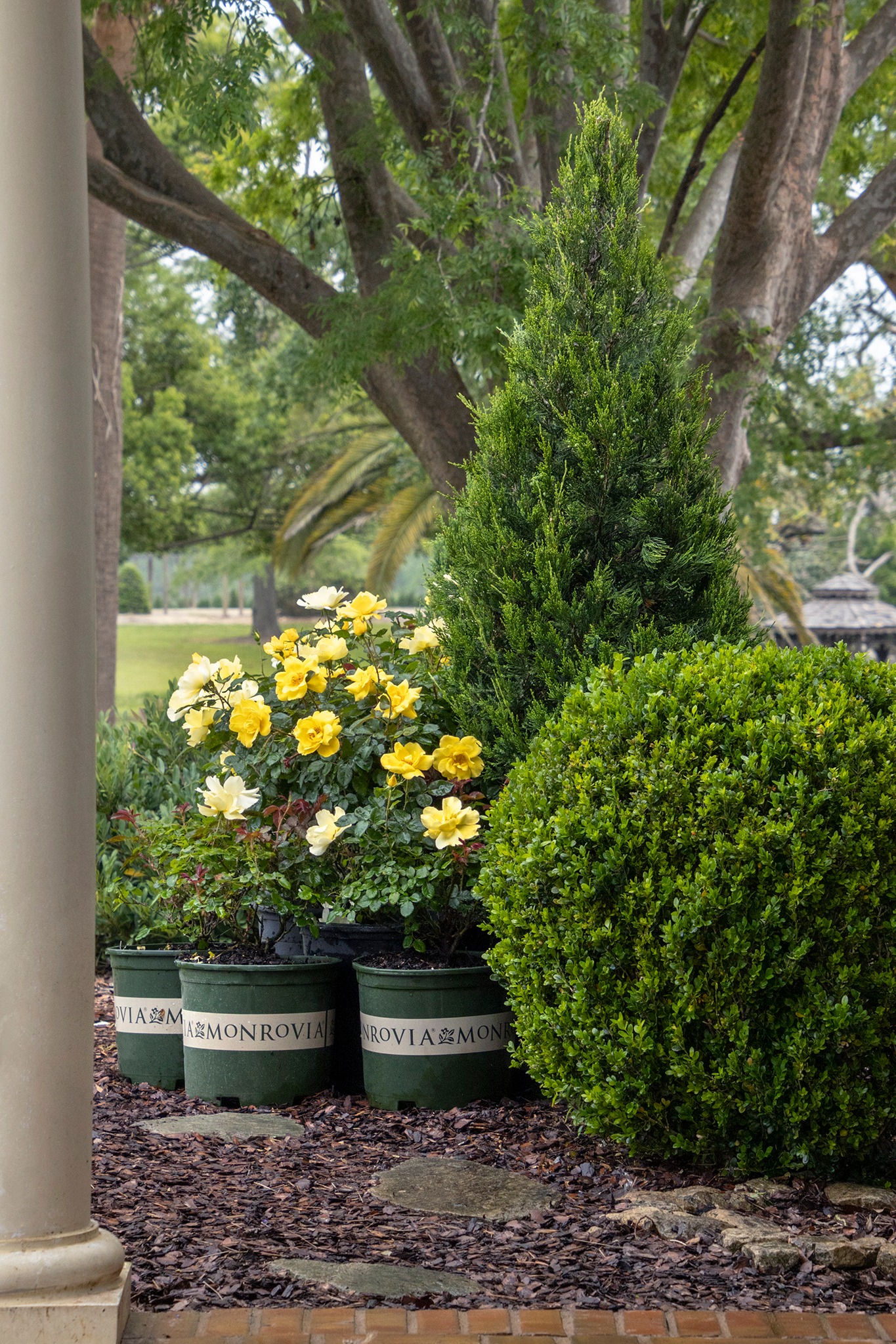 L.B. Forcellati &amp; Sons | Wall NJ