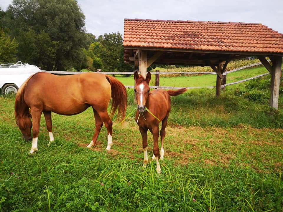 Ranch Zara | Donja Stubica