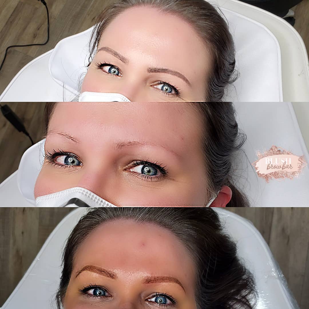 The Blush - 1️⃣Client makeup 2️⃣No makeup 3️⃣Powder Brows Powder brows ...
