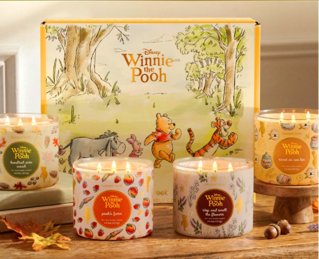 LOOK what I just got in my email‼️😱 NEW Winnie The Pooh x