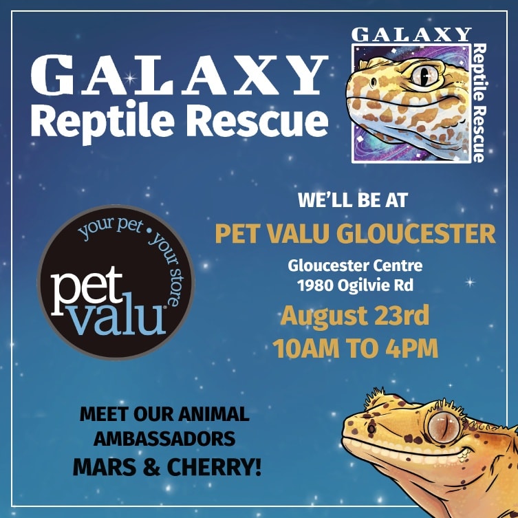 Galaxy Reptile Rescue