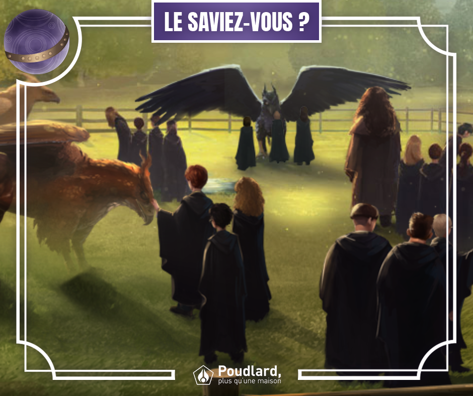 Poudlard, plus qu'une maison - 🔎 Le saviez-vous : Créatures Magiques ⚡ ...